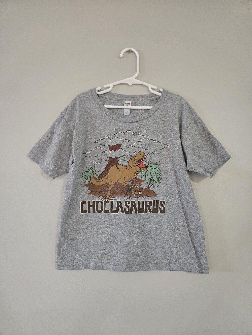 Choclasaurus Dinosaur Graphic T-Shirt Gray Fruit of the Loom Size S